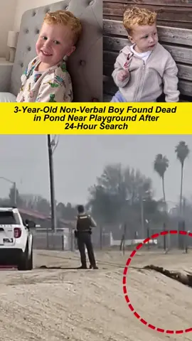 3-Year-Old Noah Woods Missing After Vanishing From UK Playground #MissingChild #NoahWoods#news #usa#fyp 