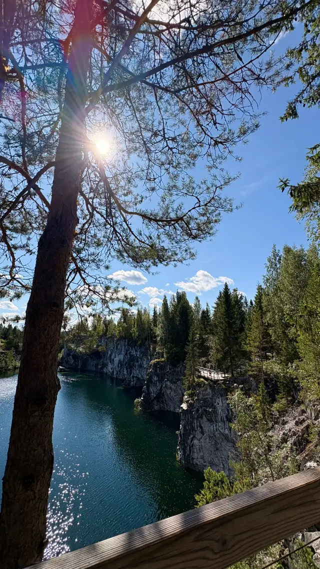 🇫🇮
