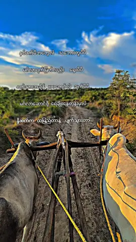 အိမ်မက်ဖစ်နေတာ#အညားများစုစည်းရာ #အညားသားစစ်စစ်ပါဗျ 