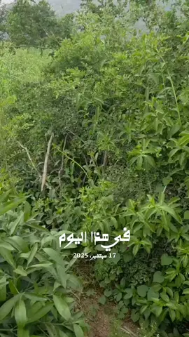 #في هذا اليوم #اذكروا_الله_وصلوا_على_رسول_الله❤ 