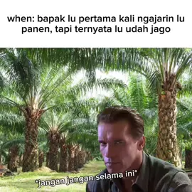 #sawit #meme #fyp 