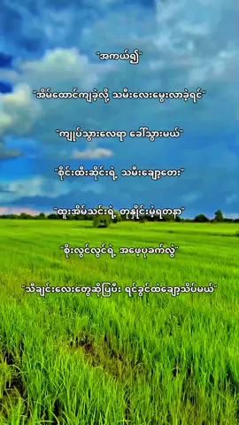 စိတ်ကူးနဲ့တင် ပျော်နေပါဘီဗျာ#fypシ゚vial #foryou #tiktok #foryoupage #🖤 