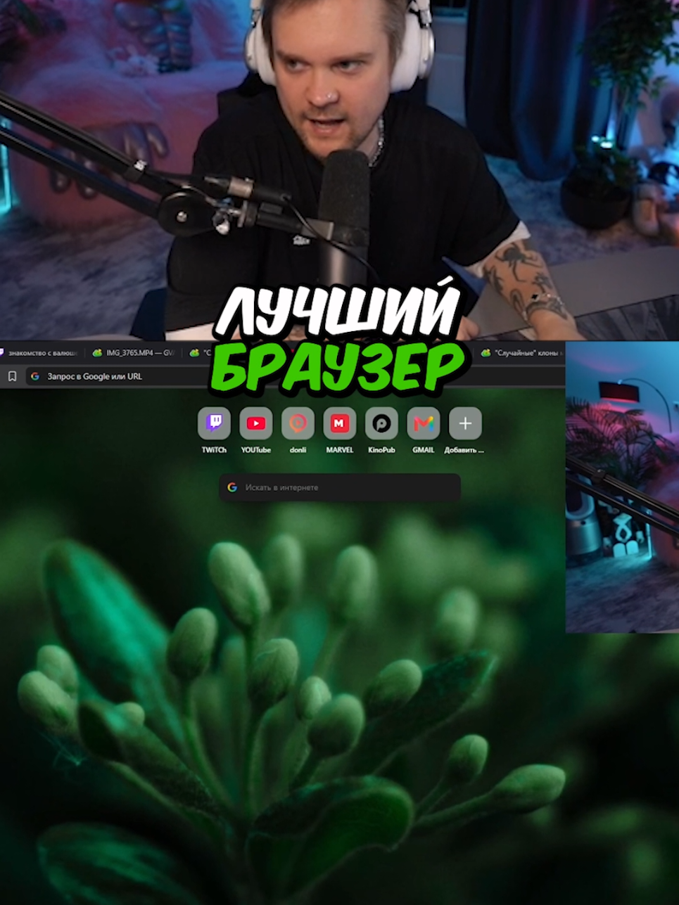 brave #guacamolemolly #гуакамоле #гвакамоле 