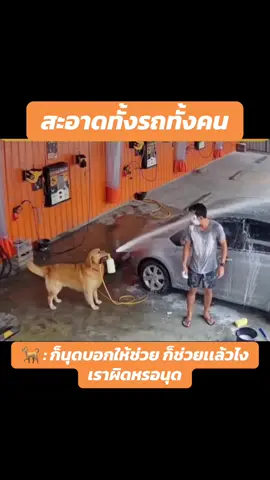 ตูมไม่เข้าใจ🤣#ฟีดดดシ #fyp #ข่าวtiktok #หมาตลก #หมาน่ารัก 