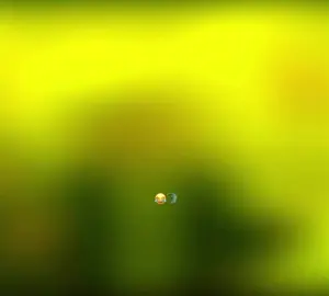 😍😂