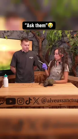 Jynxzi is so scared #jynxzi #jynxziclips #maya #alveussanctuary #frog 