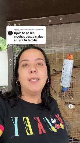 Replying to @danideabril 