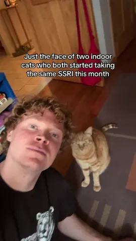 Yes we are on the exact same medication except he takes a much smaller amount than me 🧡 #cat 