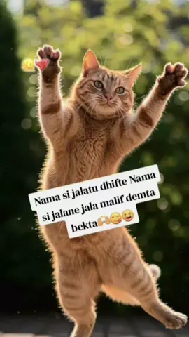 #capcut #oromotiktok #oromotiktok❤️💚❤️ethiopiantiktok #ethiopian_tik_tok🇪🇹🇪🇹🇪🇹🇪🇹 #oromotiktok❤️💚❤️ethiopiantiktok🇪🇹🇪🇹 😜🤣✌️folo godha🤣