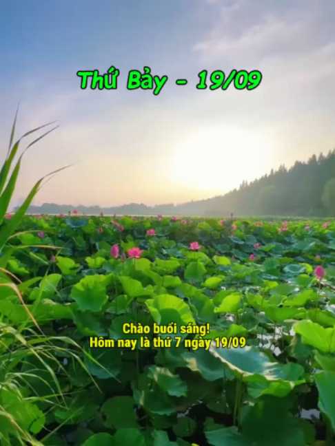 Chúc bạn sáng thứ 7 này có đủ nắng để sưởi ấm tâm hồn, đủ bình yên để chữa lành những mỏi mệt và đủ niềm tin để tiếp tục theo đuổi những điều mình mong muốn.... #songchamlai #chaobuoisang #chaongaymoi #chualanh #binhyenmoingay