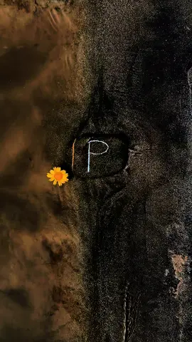 #p #nature #trendiing #Love #peace 