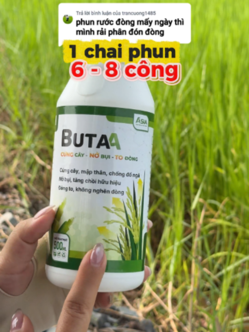 Butaa có thể phun trước hoặc sau khi rải phân rước đòng #butaa #cungcay #nobui #todong #maptimden