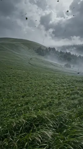 🌿 A Long Peaceful Journey Through the Green Valley, Following the Wind Toward a Lonely Mountain Home 🏡