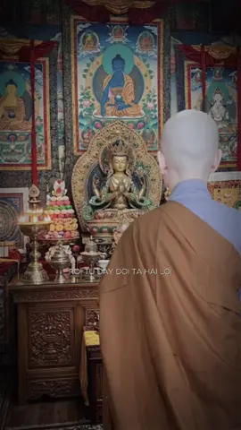 Bên đấy em có ai rồi? Bên này em đã có Phật che chở, có bạn đồng tu, có chùa là nhà, có giáo lý là ngọn đèn soi lối. Không ai bỏ em, không ai rời em vì em đã được yêu thương trọn vẹn trong gia đình của em 🙏🏻💛 #xuatgia #viral #phapphapnhiemmau #tusitre☘️🙏🏻❤️  #xh