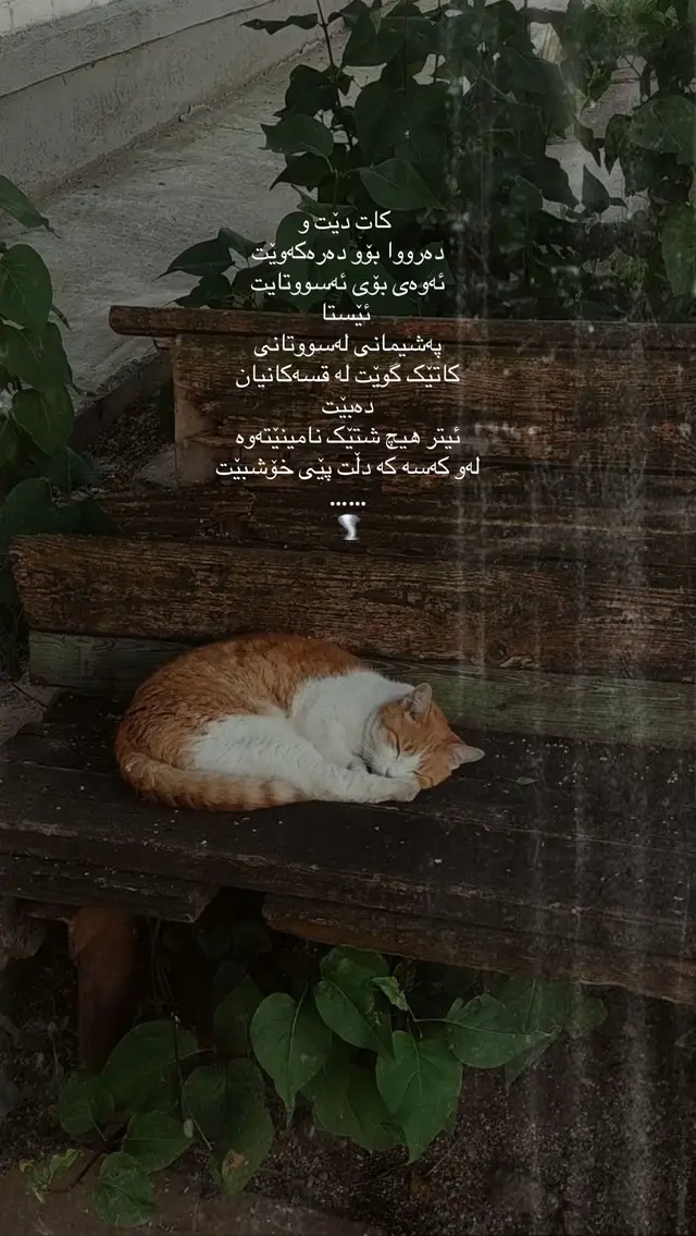 #foryou 