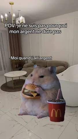 #CapCut #freefire #fr #humor 