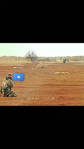 @SomaliGamergg1 Walani hada tahay dhiiri galinta waa xaga ka