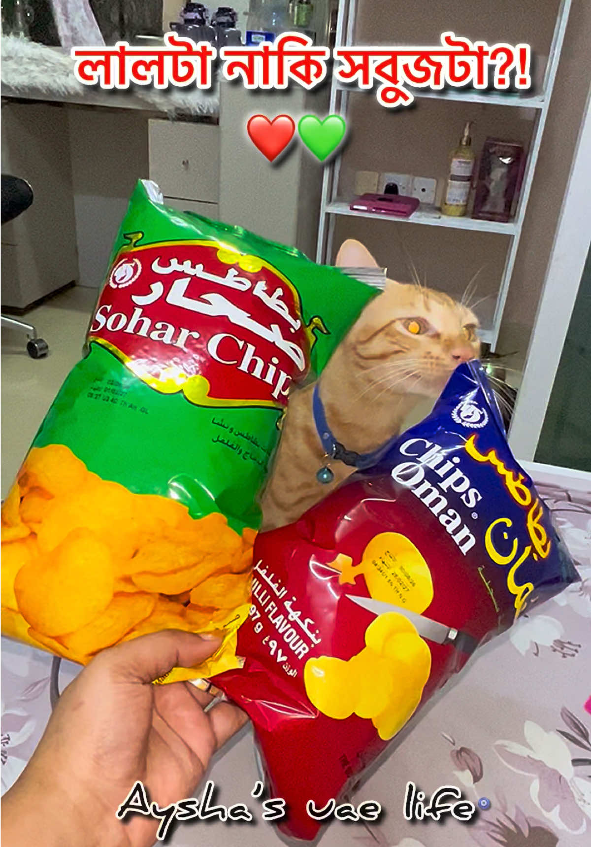 লালটা নাকি সবুজটা?!❤💚 #fyp #foryou #viral #potatochips #uae🇦🇪 