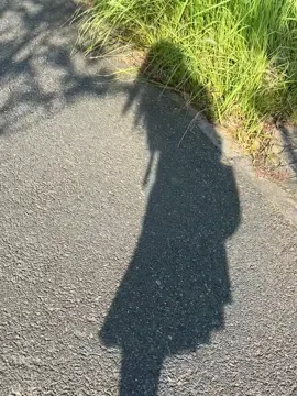 上课时候我的骨头在啃我刺我疼痛不止！