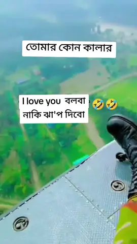 তোমার কোন কালার