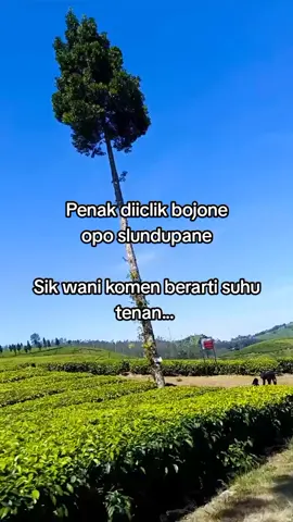 post 22