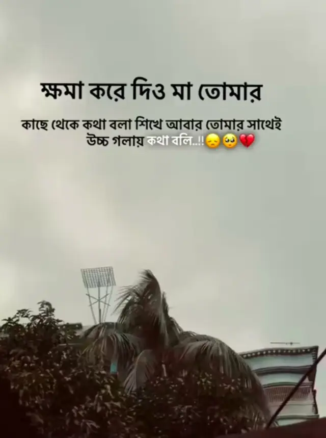 ক্ষমা করে দিও মা তোমার  কাছে থেকে কথা বলা শিখে আবার তোমার সাথেই উচ্চ গলায় কথা বলি...!!😞🥺💔#foryou #banglastatus #emotionalvideo #500k #fyp @TikTok@TikTok Bangladesh