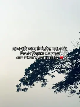 চোখে পানি আসে ঠিকই,কিন্ত লম্বা একটা নিঃস্বাস নিয়ে it’s okay বলে মেনে নেওয়াই হইতো maturity 💔 #fyp #😊💔 #repos 