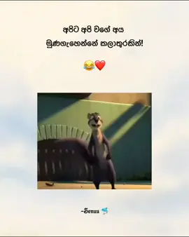 😂! #funny #meme #funnypost #senu #🇱🇰