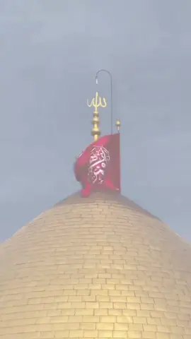 Al Madad Yaa Imam e Zaman 🌸🚩#viralvideo #grouthmyacount #foryourpage #tendingvideo #hussaini🌸🚩 @MiaN ZaiN @HussaiNi LarkA🚩 