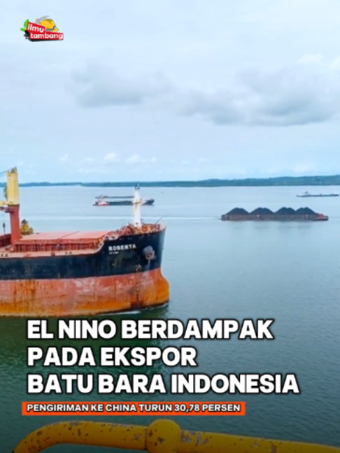 Ekspor batu bara Indonesia ke China pada Agustus 2026 turun 30,78 persen secara tahunan menjadi 14,47 juta ton. Penurunan dipengaruhi surutnya sejumlah sungai di Kalimantan yang menghambat pengiriman batu bara menggunakan tongkang. #AnakTambang #IlmuTambang #Batubara #Ekspor #Kalimantan #ElNino