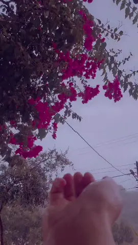 ‏زعلك على نفسك هذا اسوء  شيء ممكن تمر بي حرفيًا ......