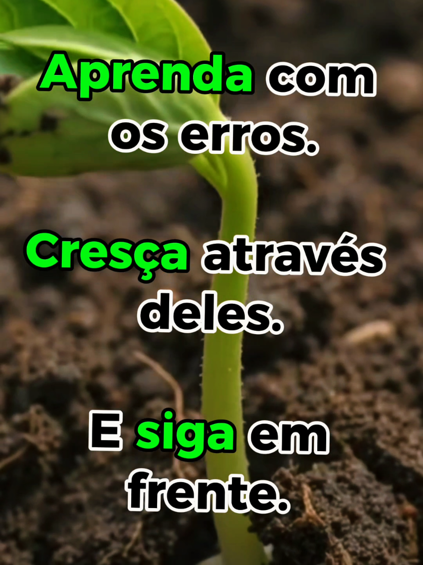 Os erros não definem quem você é. Eles ensinam, fortalecem e mostram o caminho para se tornar alguém melhor. Aprenda com o que passou, cresça com cada experiência e continue seguindo em frente. 🙏✨ #CapCut #bomdia #superacion #vida#reflexão 