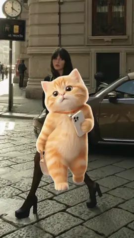 #Meme #MemeCut 