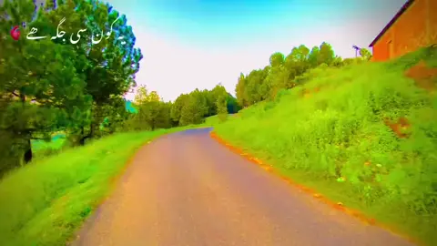 #fypシ゚viral #fyppppppppppppppppppppppp #goviraltiktok #poetry🥀 #fypシ゚viral🖤tiktok 