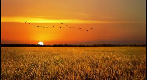 ឃុននារី🤍💝🎀 #Lyrica_songs #coversongs #music #foryou #fyp 