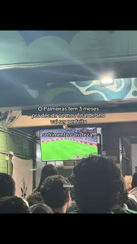 Faz a boa Palmeiras  #Palmeiras #Palmeirenses #Libertadores #fy 