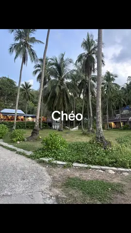 #chéo #fl