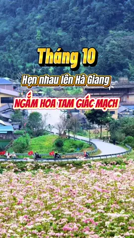 Đi Hà Giang tháng 10 có gì #checkinhagiang #hagiang #24htravel #hagiangloop #hagiangtour