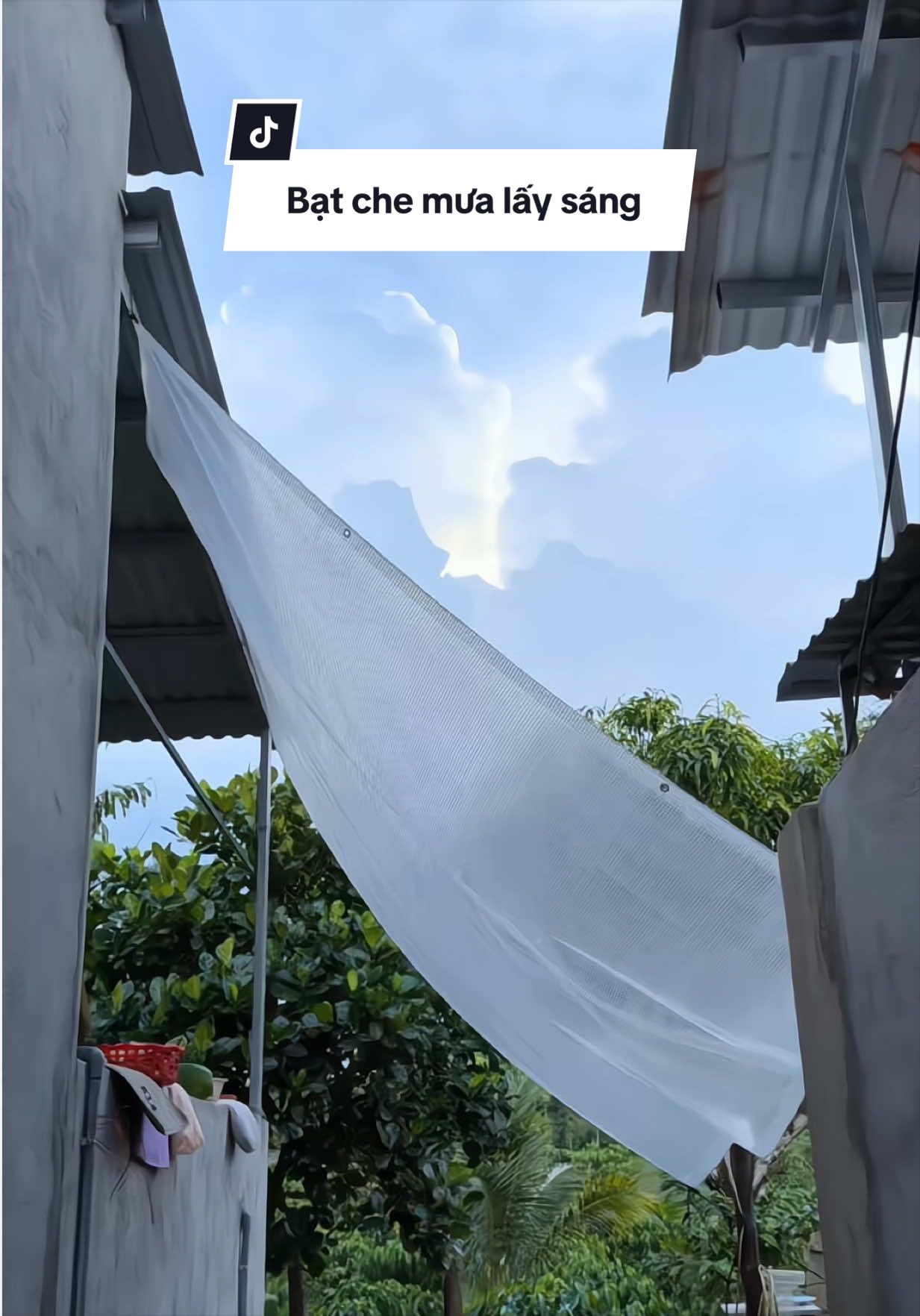Muốn che nắng nhưng không muốn lợp tôn, muốn che mưa nhưng không muốn bị tối thì dùng bạt này là lựa chọn hàng đầu #xuhuong #thuỳ_mua_rồi_review #thuythichmuado #ttlktiktokshop #bạt_che_mưa_lấy_sáng 