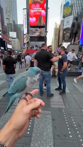 usatiktok🇺🇸♥️😘 #uktiktok🇬🇧ukviral #pppppppppppppppp #vairal_video #🇱🇷🇱🇷🇱🇷🇱🇷🇱🇷🇱🇷🇱🇷🇱🇷 #foryoupage❤️