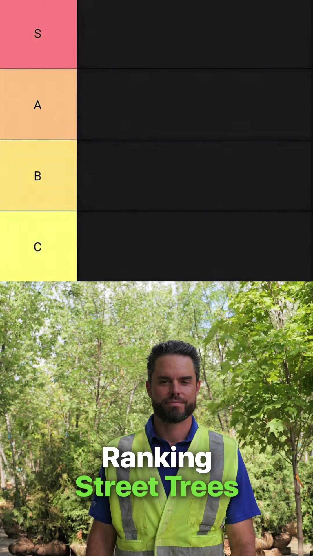 We Have Some Strong Opinions About Street Trees. S tier? A tier? Or are you getting stuck in C? We put together our tier list based on things like transplanting, growth rate, appearance and how they perform once established. Where would you rank these? #TreePlanting #OntarioTrees #LandscapeContractor #TreeEducation #UrbanPlanners
