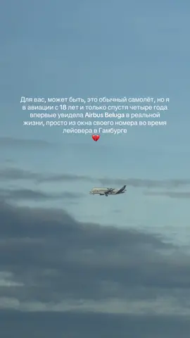 🛫 тгк: gerrbarii 