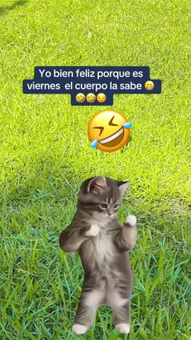 Viernes de cheque 🤣🤣🤣😁😁😁 