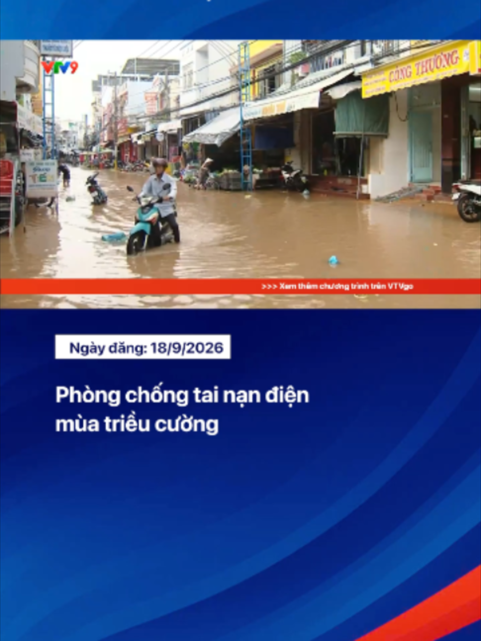 Triều cường dâng cao khiến nhiều tuyến đường, khu dân cư và vườn cây tại Đồng bằng sông Cửu Long bị ngập. Khi nước dâng cao, nếu đường dây điện không bảo đảm an toàn, nguy cơ rò điện, điện giật có thể xảy ra bất cứ lúc nào. #VTVNamBo #tiktoknews #nhipsongphuongnam #vtv9nhipsongphuongnam #VTV9