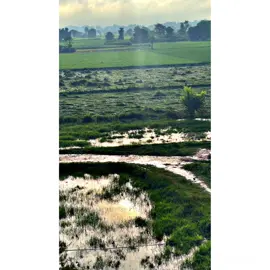 PEEDAN❤️‍🩹#view @TikTok 