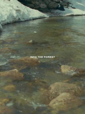 Into the Forest: A Weekend with Robert Rabensteiner. Eleganza eclettica tra natura e città