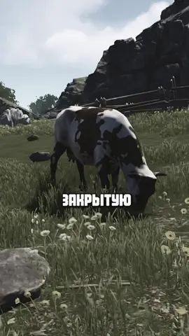 новые животные кнш круто,но старых скоро забудут.        больше на twitch:soulstellar333 #раст #ржавчина #животные #корова #медведь 