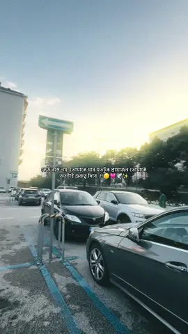 Hea😌💗🕊️✨#vairal #vairal_video_tiktok #foryou #foryoupage❤️❤️ #foryoupageofficiall 