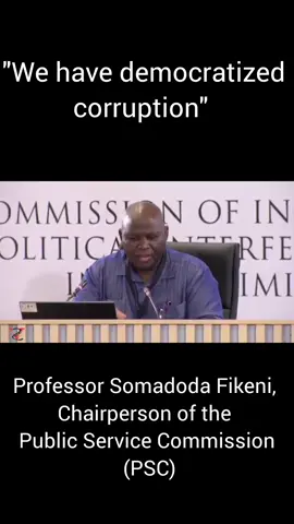 Professor Somadoda Fikeni, Chairperson of the  Public Service Commission (PSC) #madlangacommission #southafrica #m  #fyp #trending 
