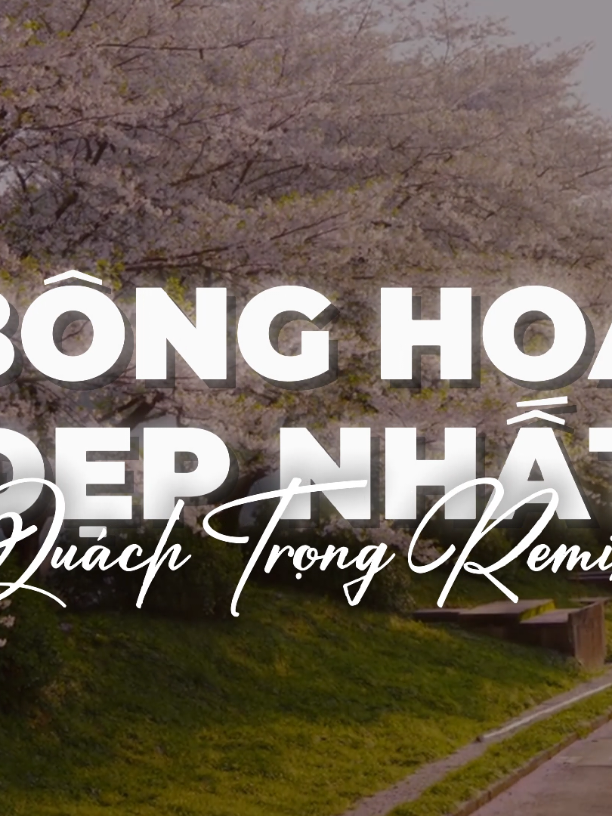 Bông Hoa Đẹp Nhất Full SoundCloud - Quách Trọng Remix (Nhạc Hot Tiktok Cực Cuốn) Quân A.P #xuhuong #bonghoadepnhat #quachtrongremix #bonghoadepnhatremix #music 